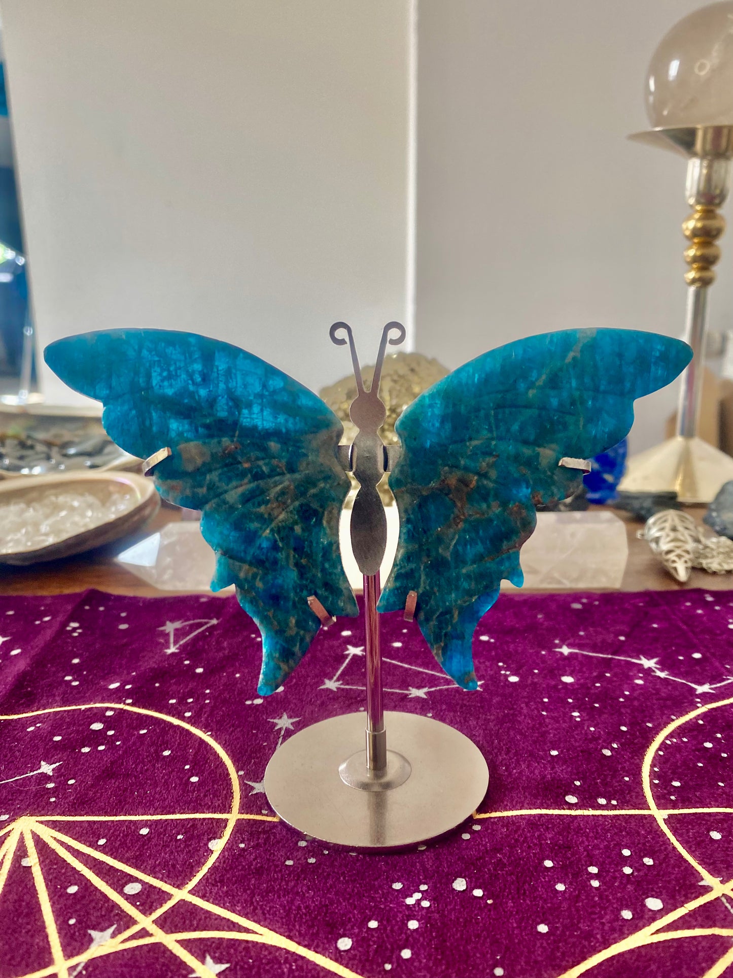 Apatit Schmetterling