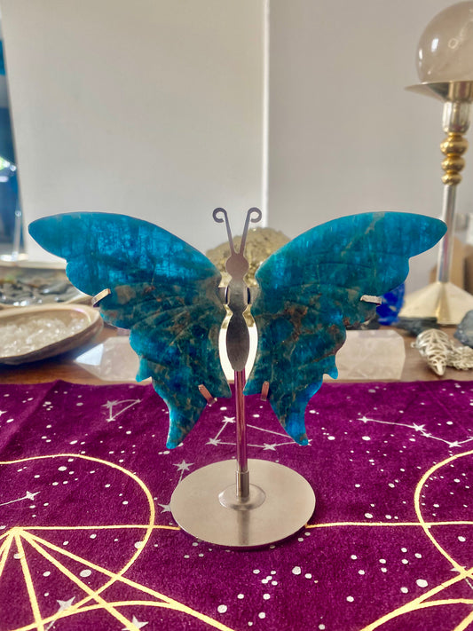 Apatit Schmetterling