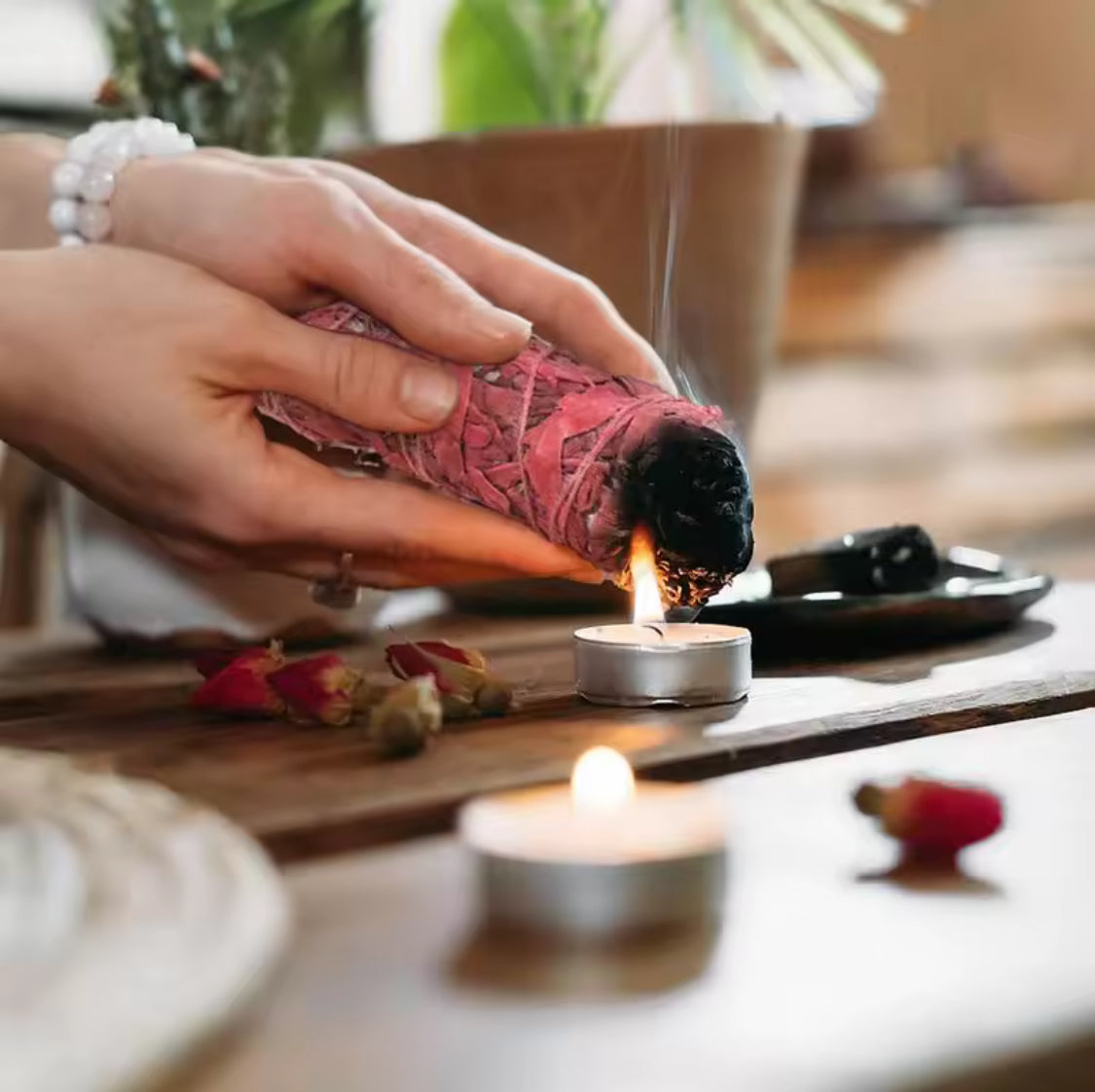 Salbei mit Drachenblut